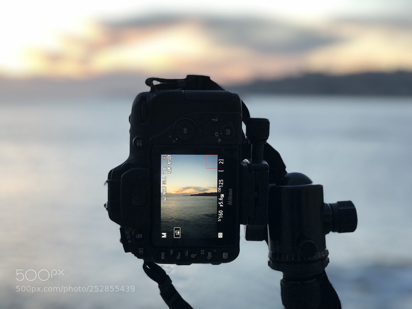 Apple iPhone 8 Plus sample photo. Wanderlust photography