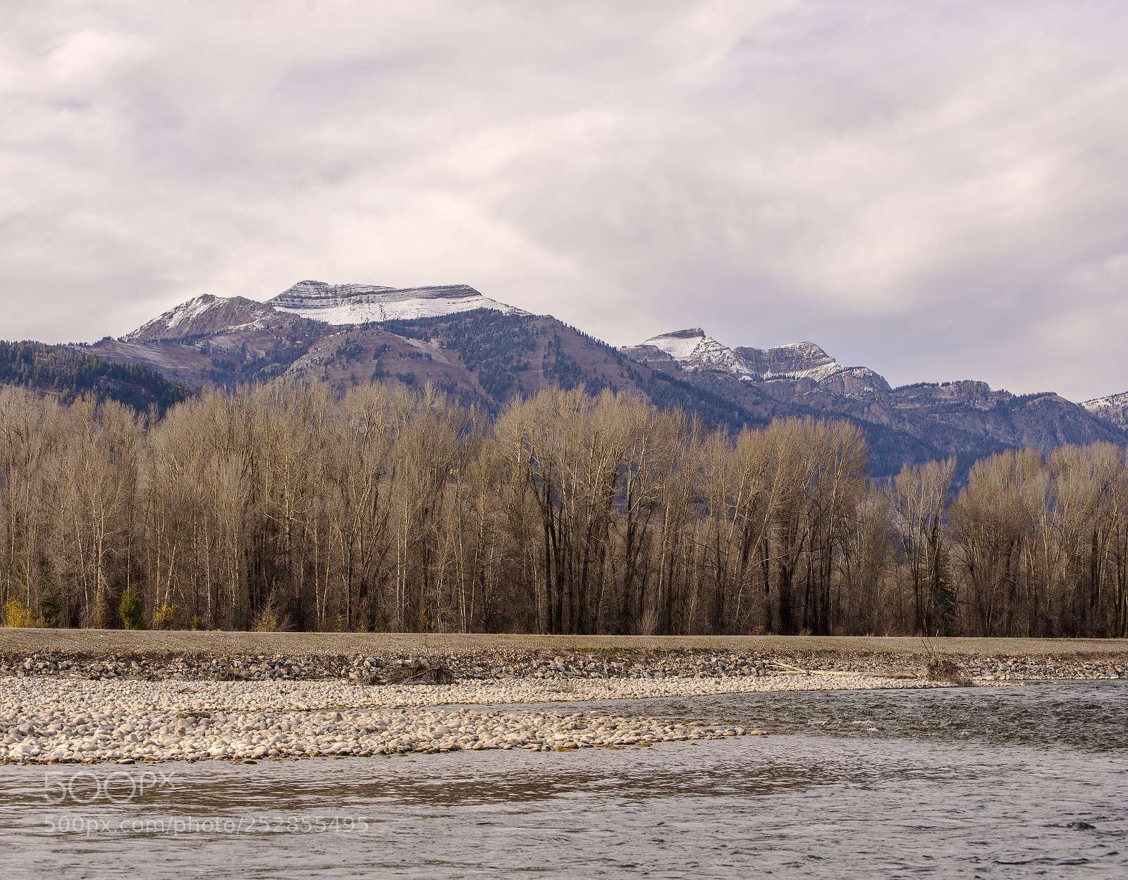 Nikon D600 sample photo. Snow capped (1) photography