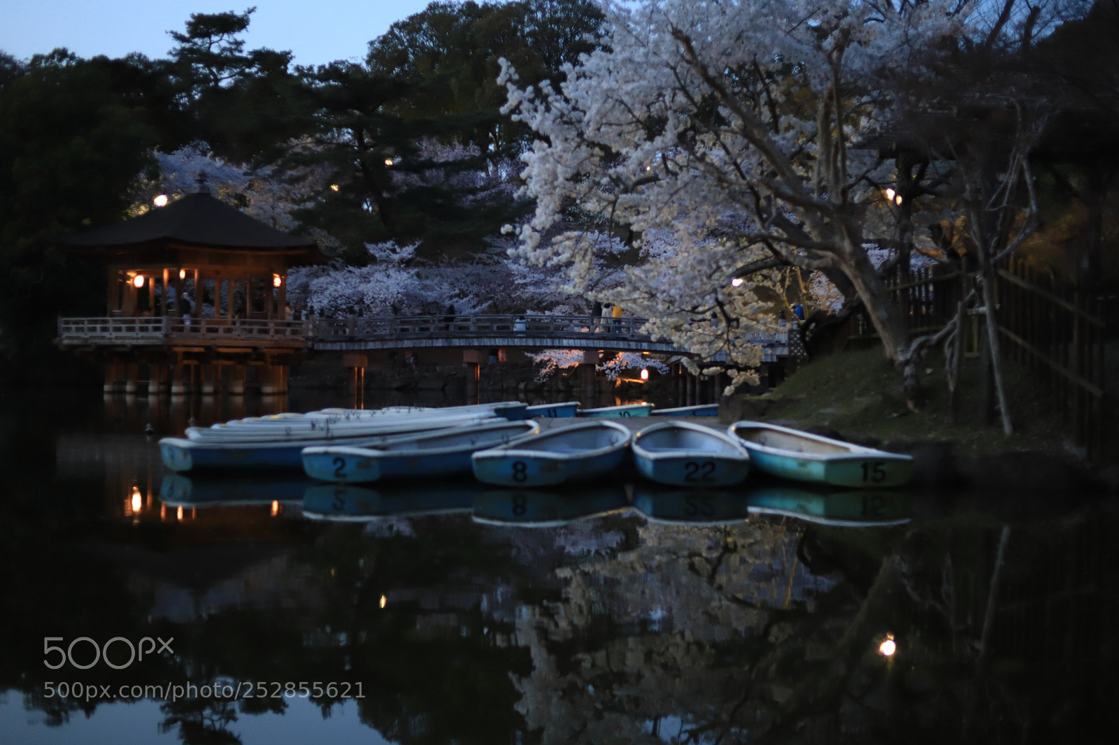 Canon EOS 6D Mark II sample photo. Untitled photography