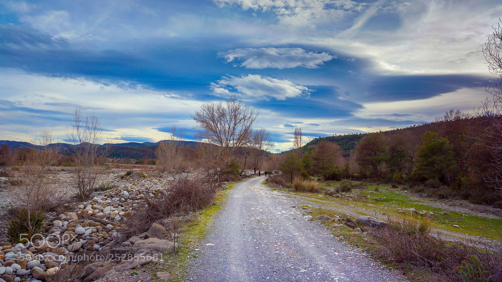 Sony Alpha NEX-7 sample photo. Path photography
