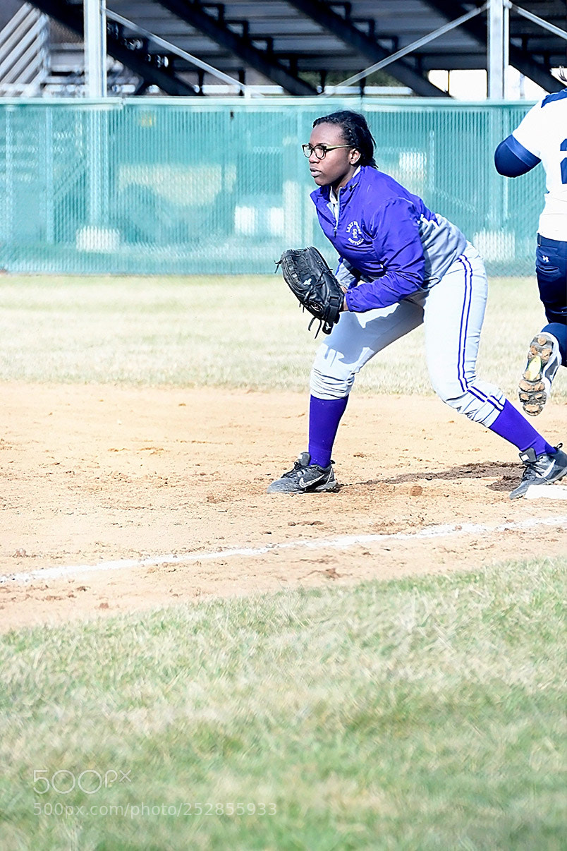 Nikon D500 sample photo. 4-4_0379.jpg photography