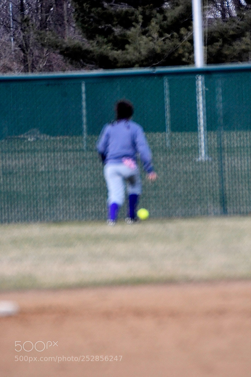 Nikon D500 sample photo. 4-4_0385.jpg photography