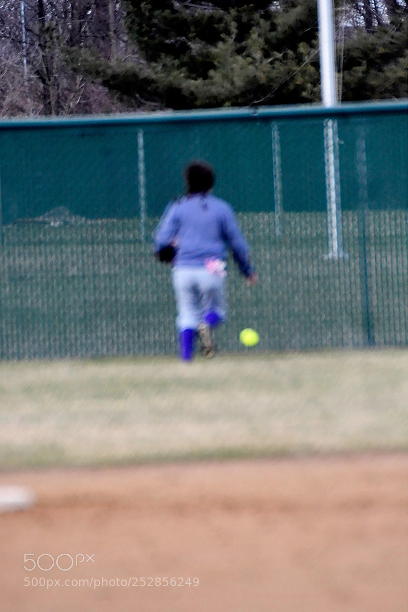 Nikon D500 sample photo. 4-4_0384.jpg photography