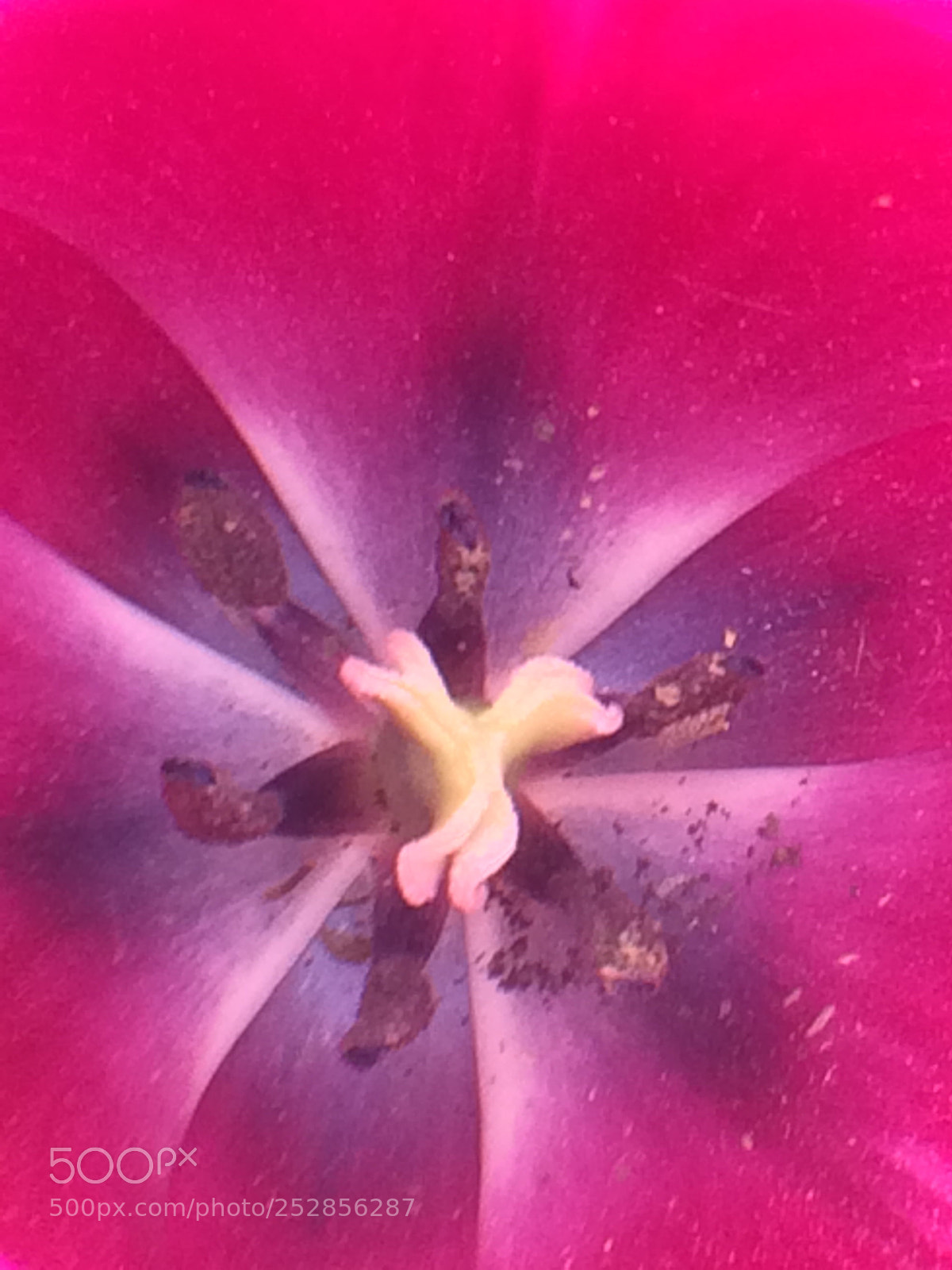 Apple iPhone 5s sample photo. Untitled photography