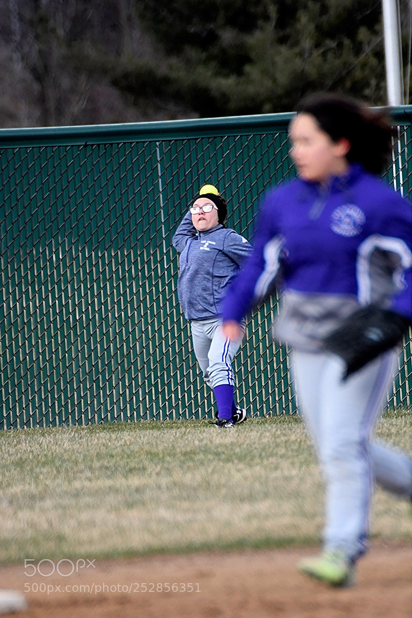Nikon D500 sample photo. 4-4_0387.jpg photography