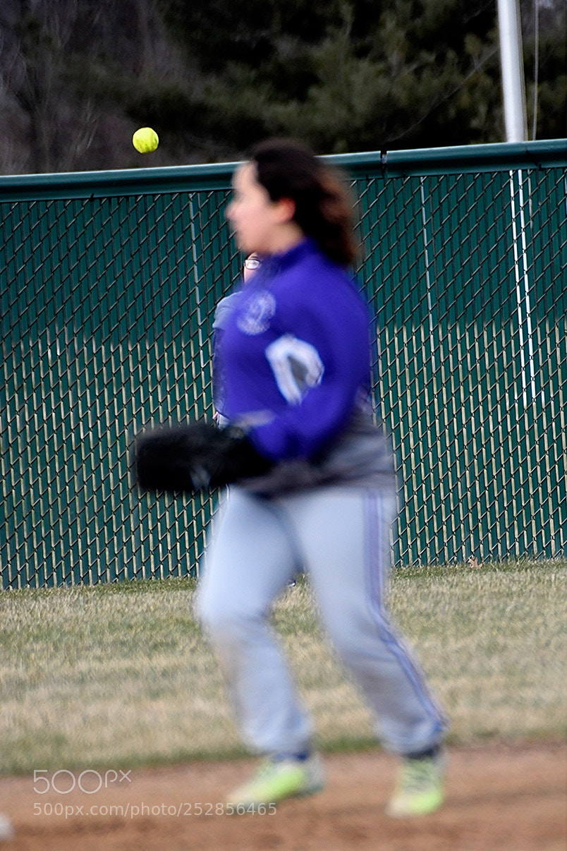 Nikon D500 sample photo. 4-4_0389.jpg photography