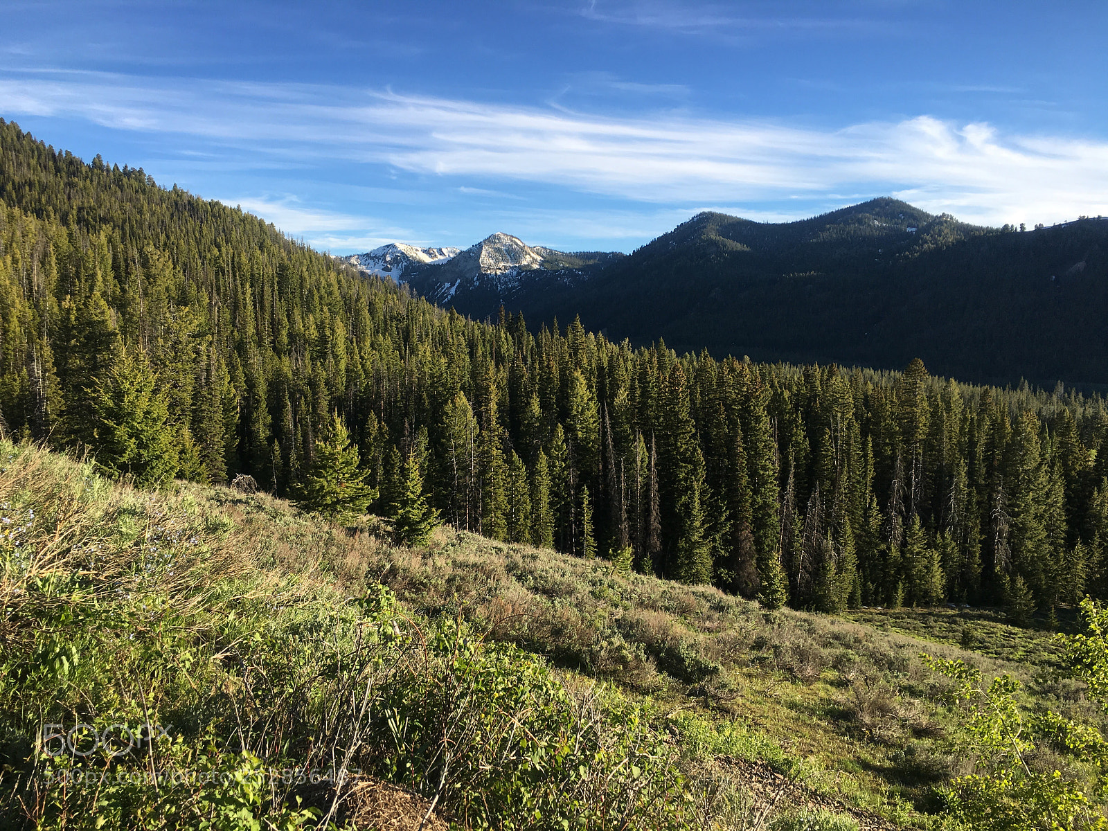 Apple iPhone 6s sample photo. Morning in the sawtooths photography
