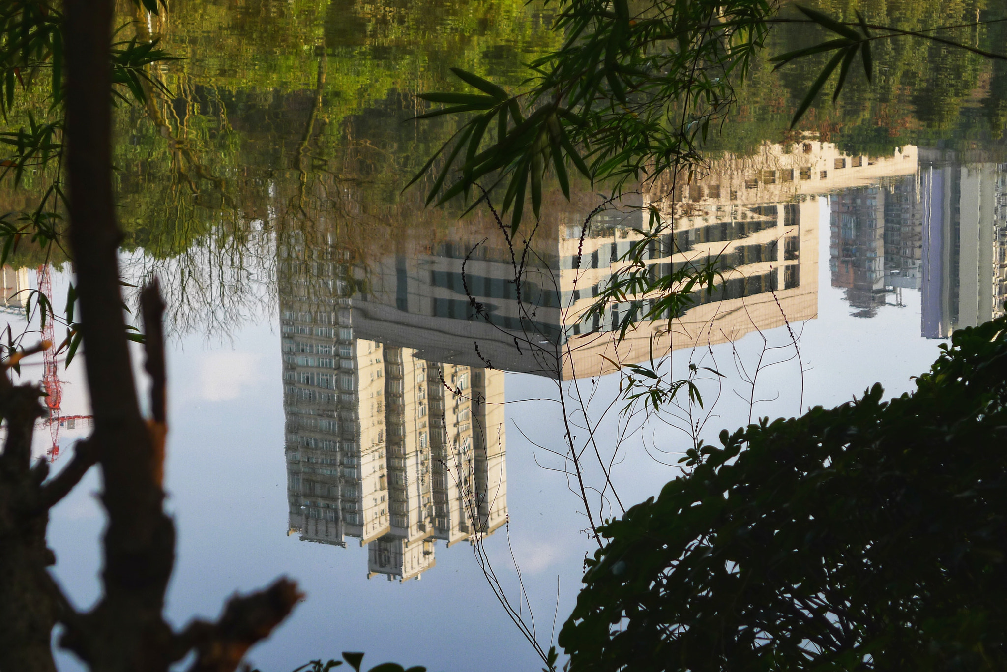 Panasonic Lumix DMC-LX5 sample photo. 倒影 photography