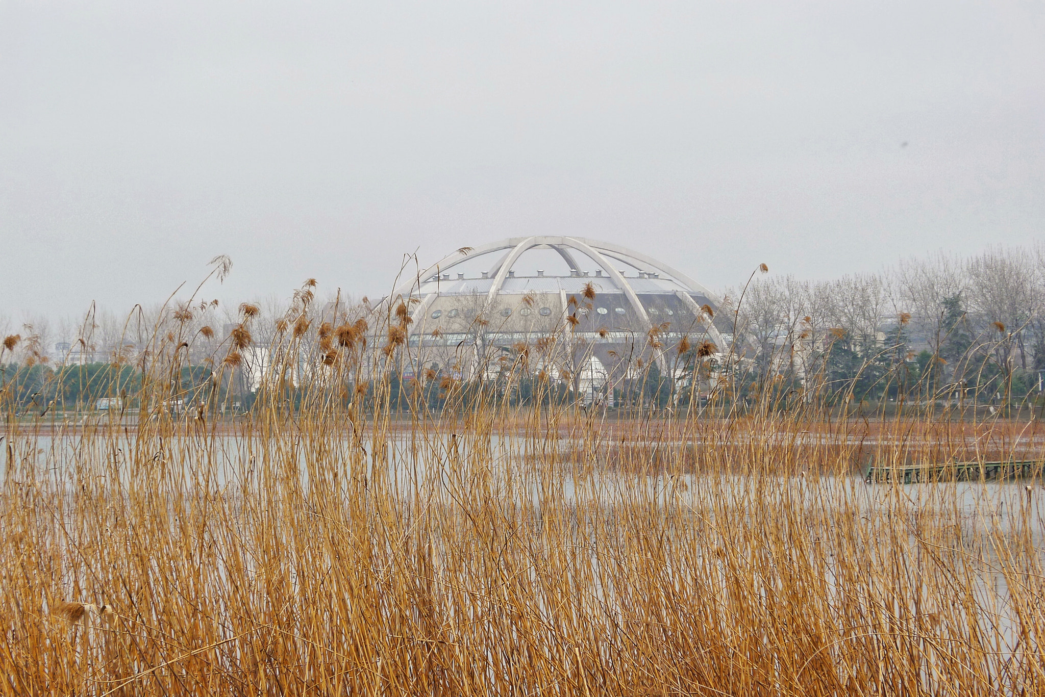 Panasonic Lumix DMC-LX5 sample photo. 会展中心 photography
