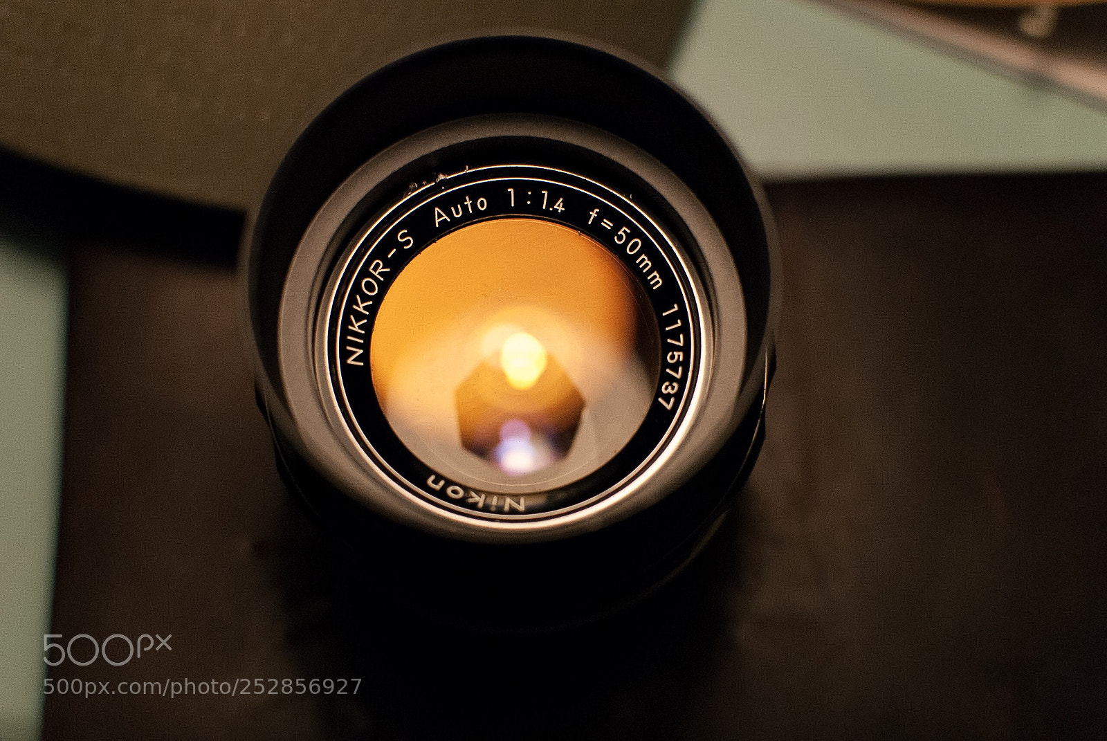 Nikon D200 sample photo. Nifty fifty  photography