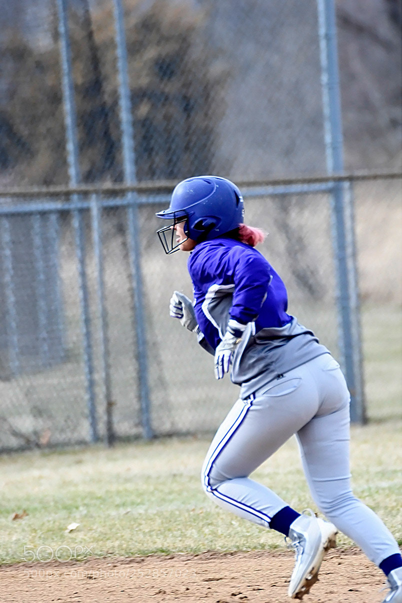 Nikon D500 sample photo. 4-4_0144.jpg photography