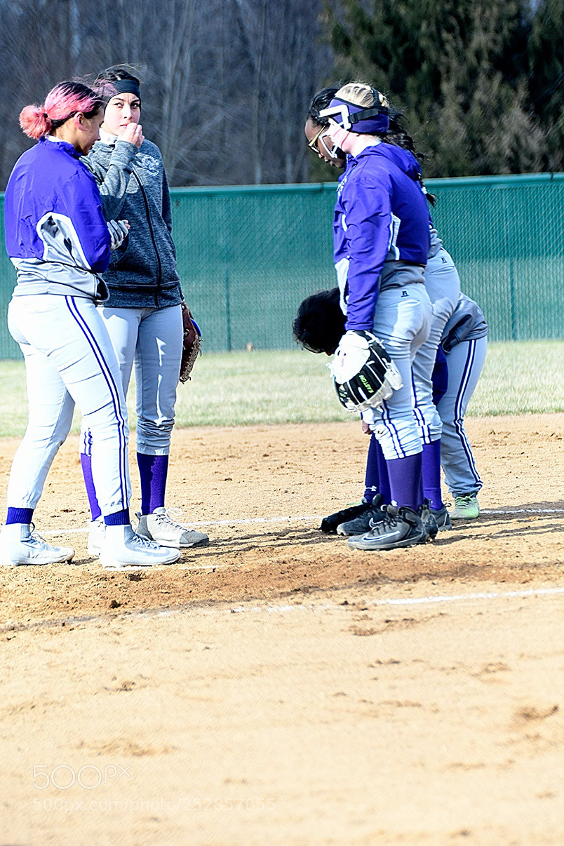 Nikon D500 sample photo. 4-4_0396.jpg photography