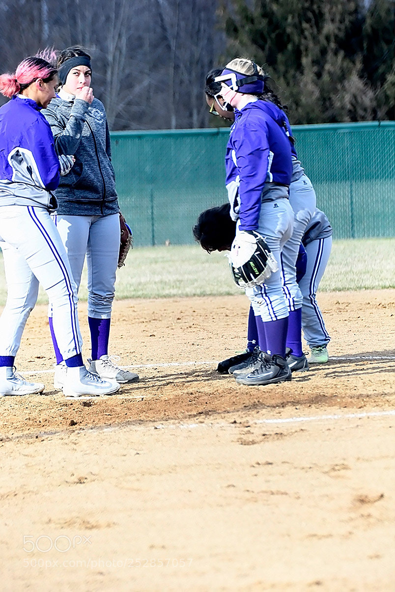 Nikon D500 sample photo. 4-4_0395.jpg photography
