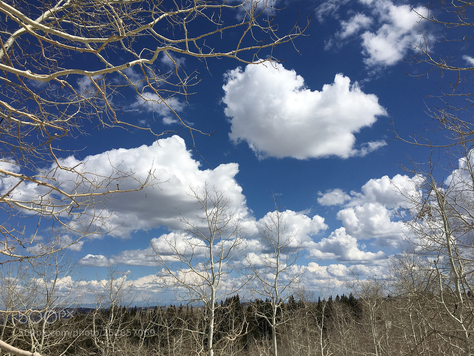 Apple iPhone 6s sample photo. Spring on monte photography