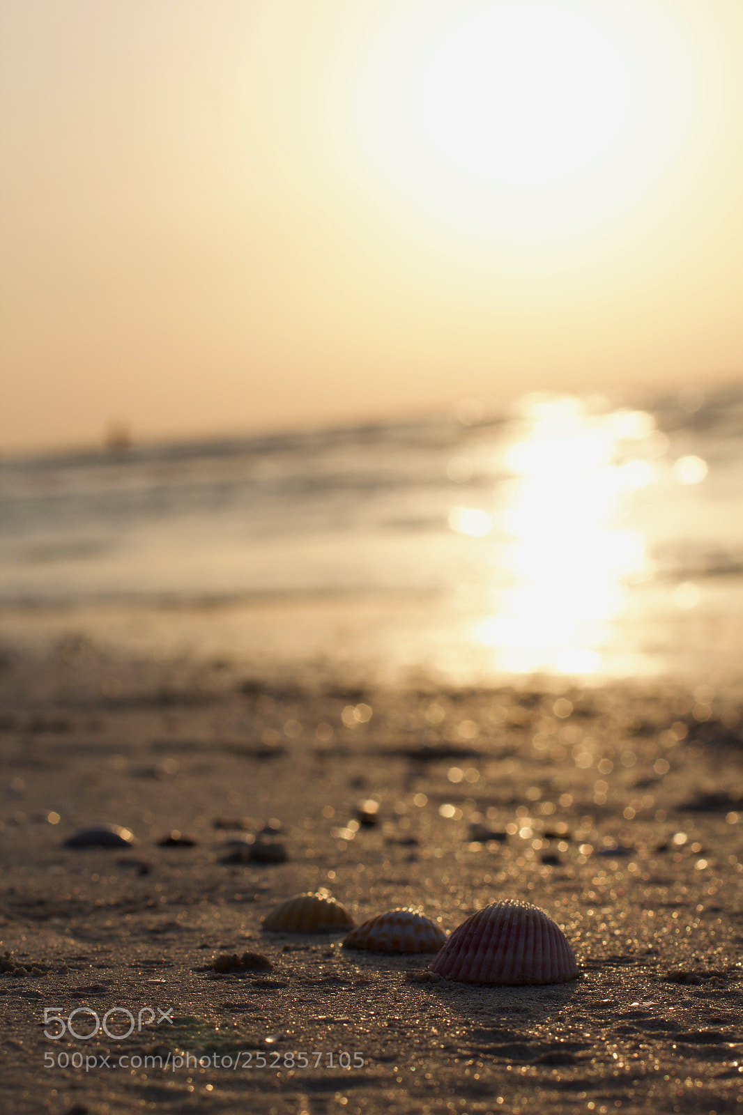 Canon EOS 60D sample photo. Summer abstract 2 photography