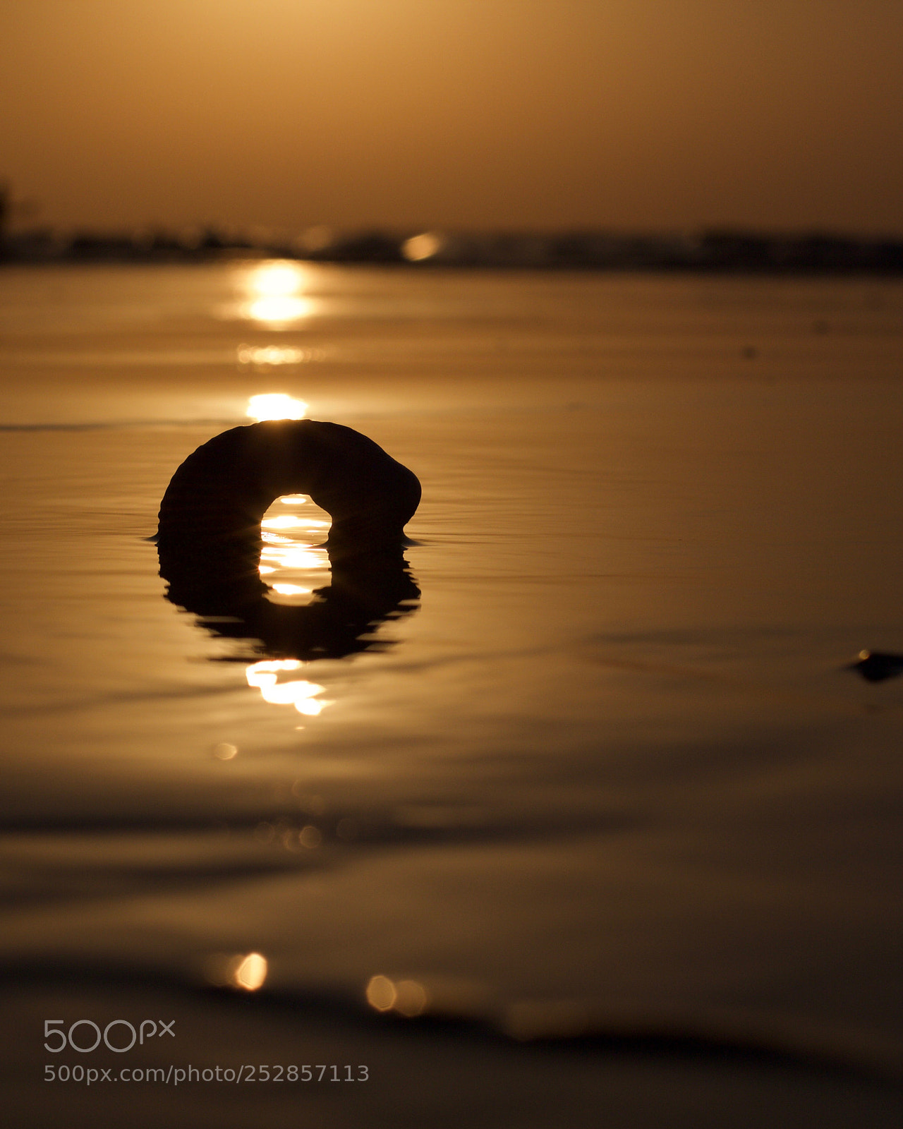 Canon EOS 60D sample photo. Summer abstract 4 photography