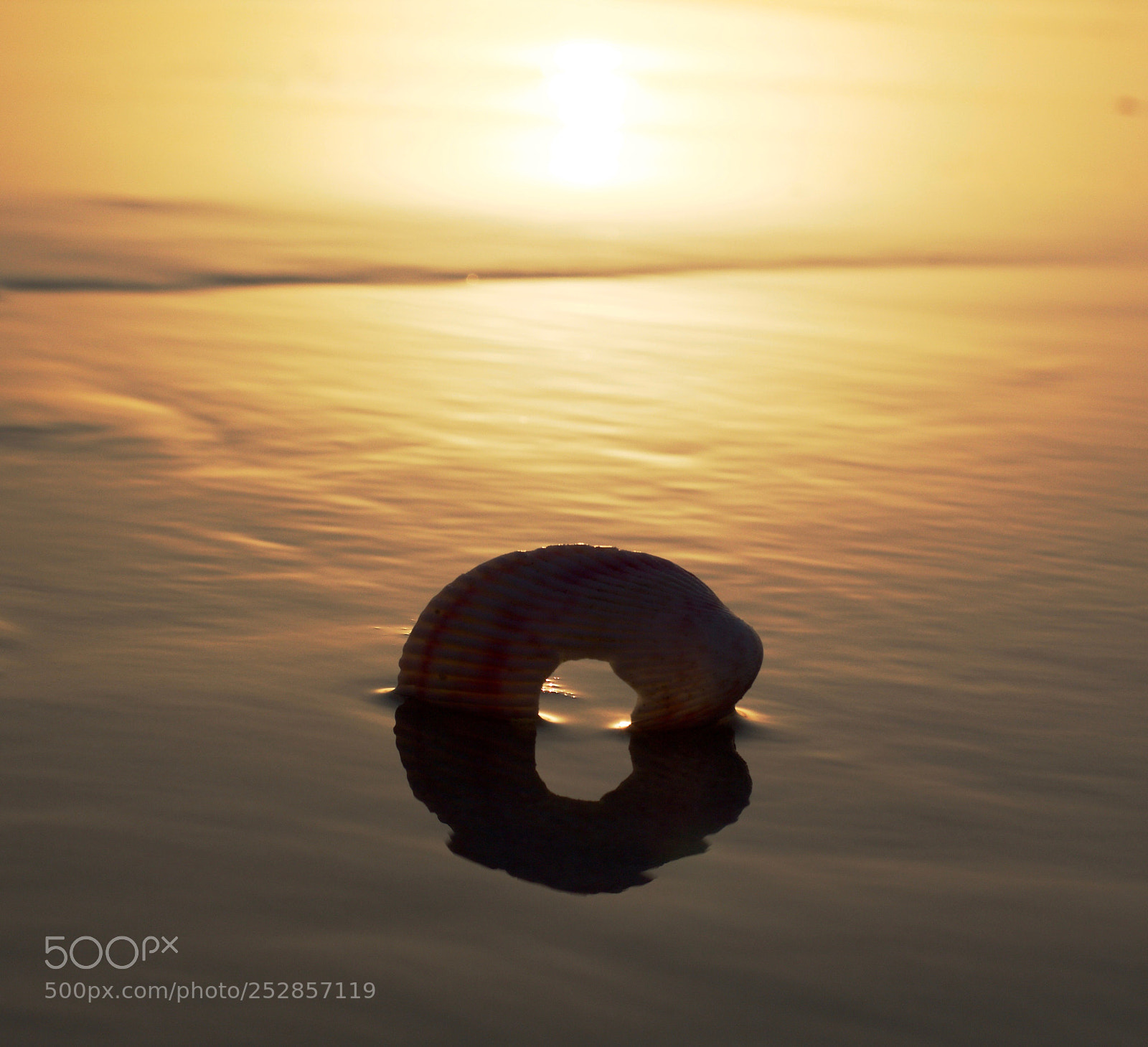 Canon EOS 60D sample photo. Summer abstract 6 photography