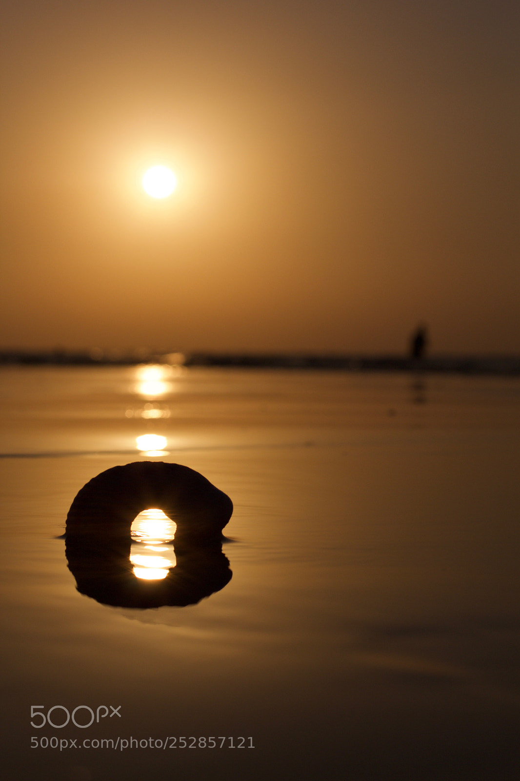 Canon EOS 60D sample photo. Summer abstract 5 photography