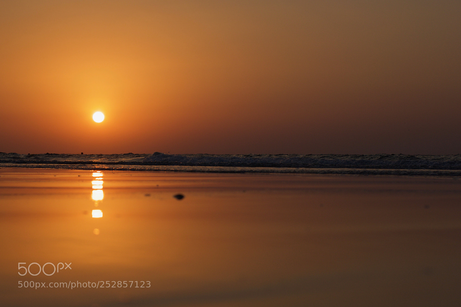 Canon EOS 60D sample photo. Summer abstract 7 photography