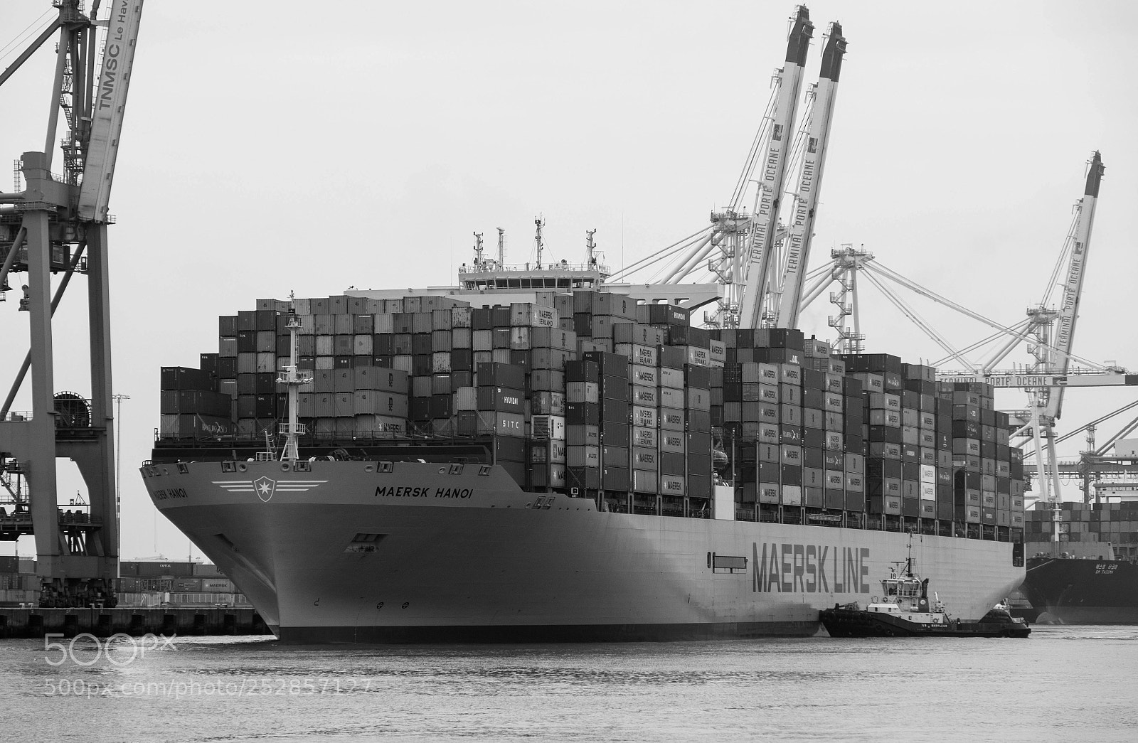 Fujifilm X-T1 sample photo. Maersk line photography