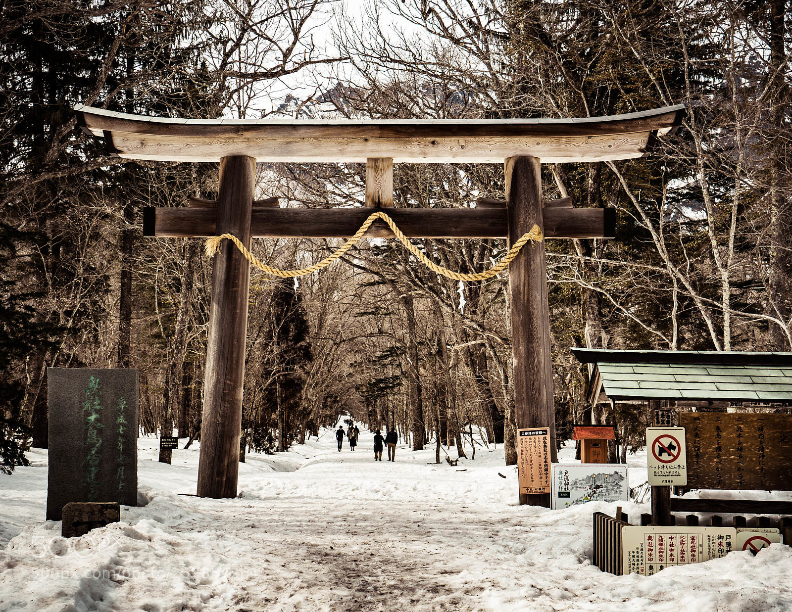 Sony a7 II sample photo. Togakushi torii photography