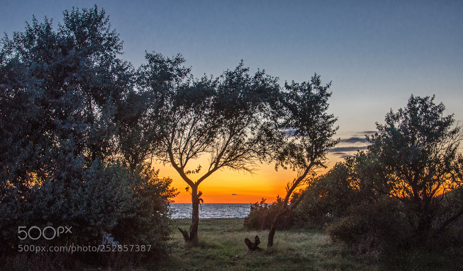 Nikon D7000 sample photo. Farben am meer photography