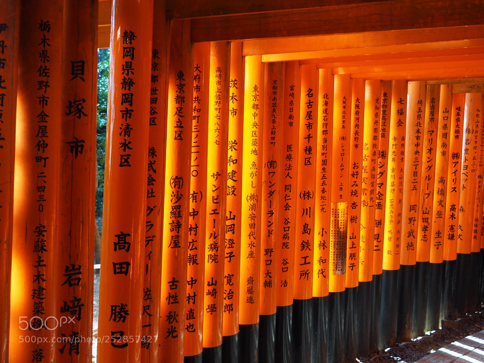 Olympus OM-D E-M10 sample photo. Fox temple, tori gates photography