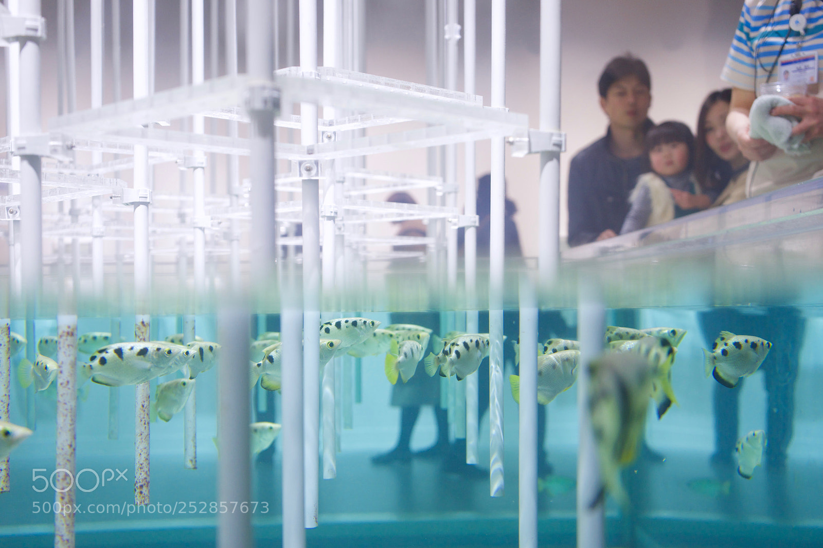 Sony a7 sample photo. They are aiming foods photography