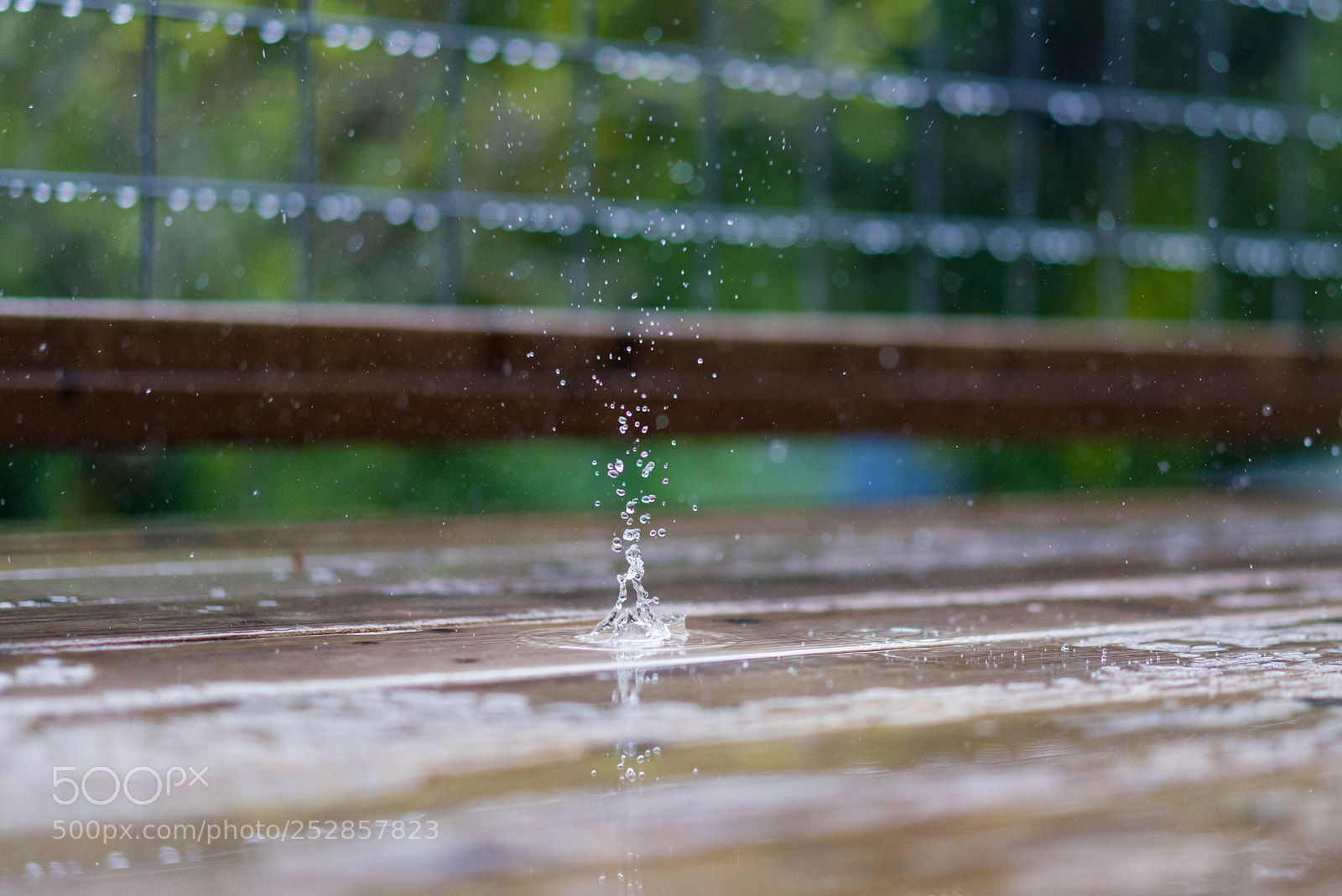 Sony a7R III sample photo. Rainy days.  photography