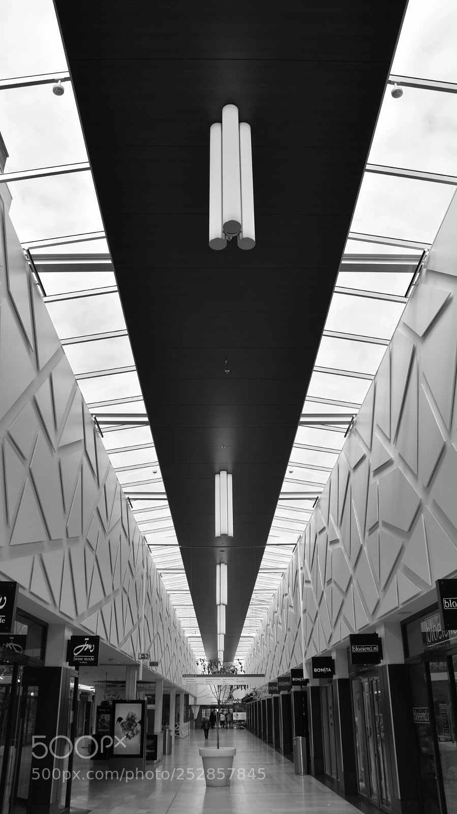 Nikon D5600 sample photo. Nice ceiling photography