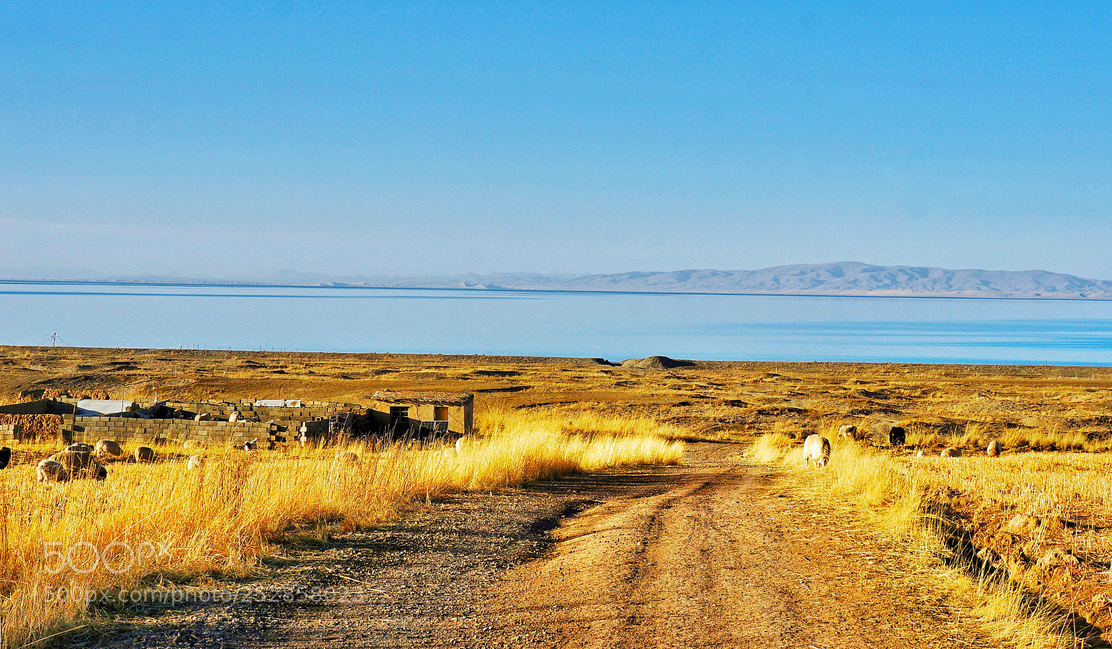 Sony a6000 sample photo. Qinghai lake photography