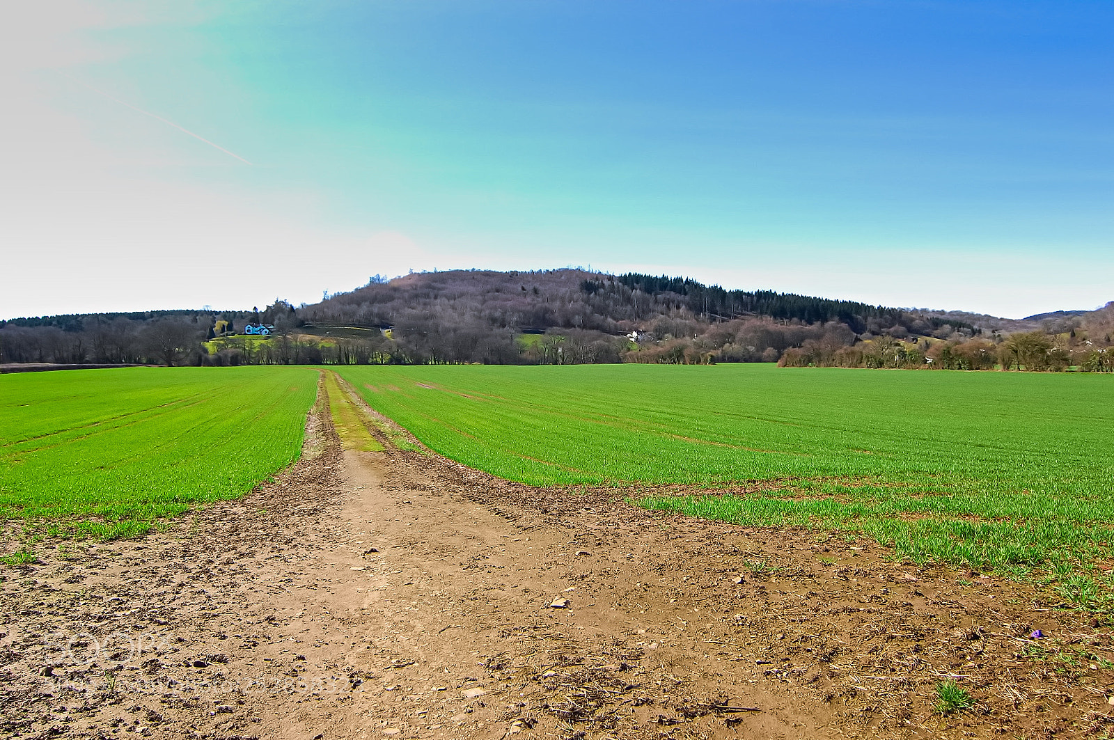 Nikon D2X sample photo. Farm road photography