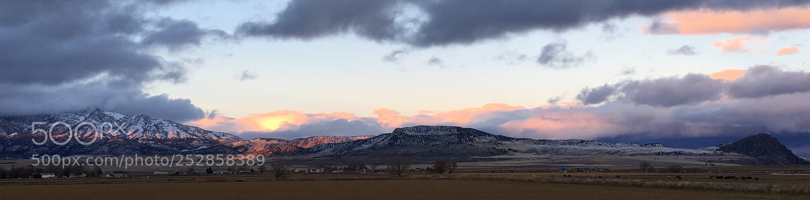 Apple iPhone 6s sample photo. Box elder photography