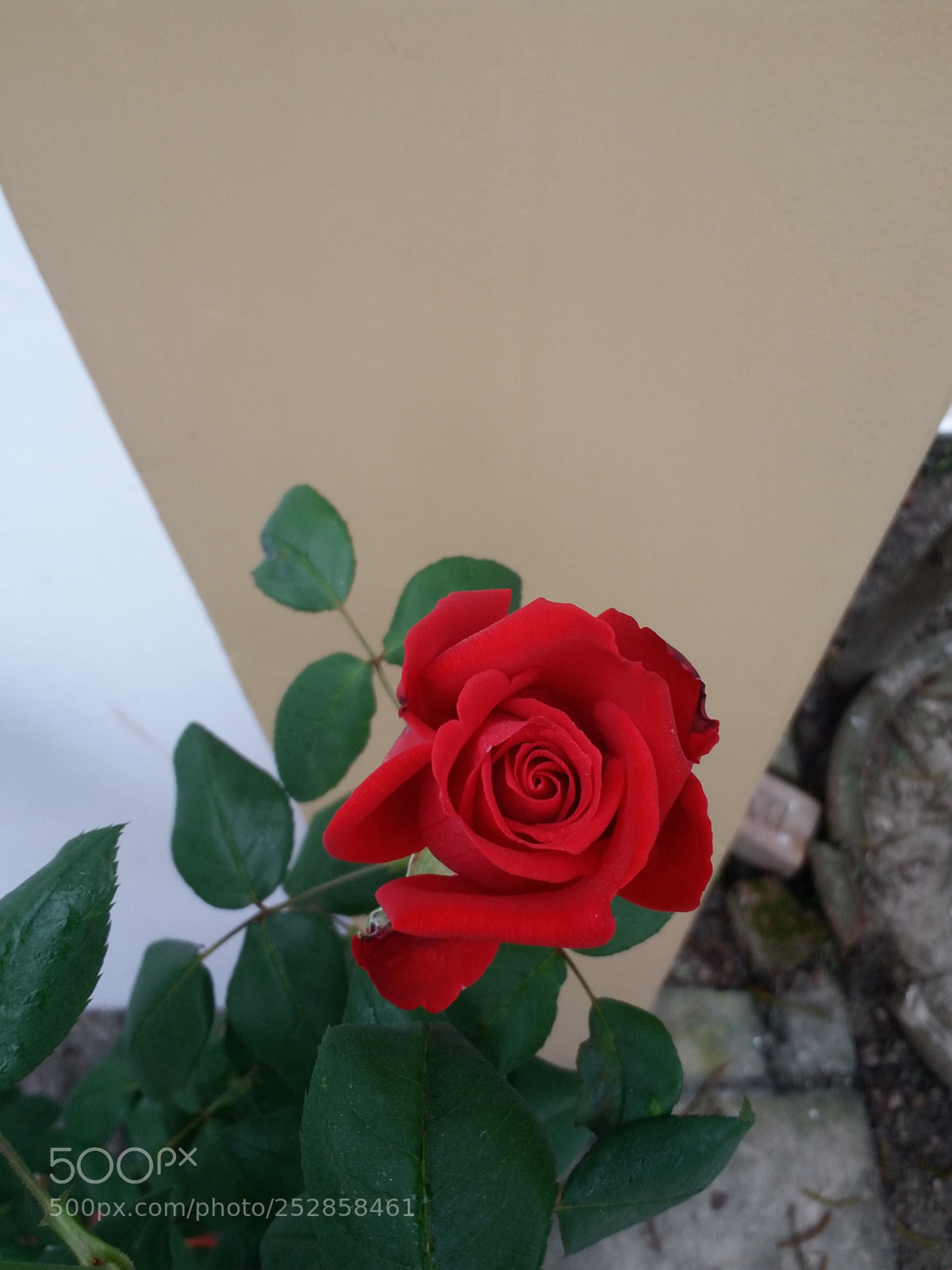 Samsung Galaxy On7 sample photo. Untitled photography