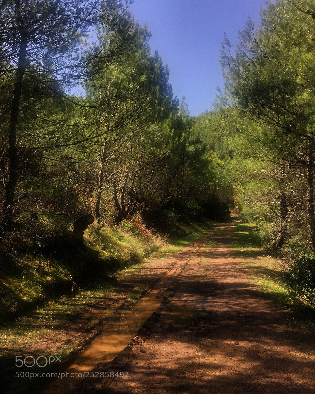 Apple iPhone 6 sample photo. Walking.... photography