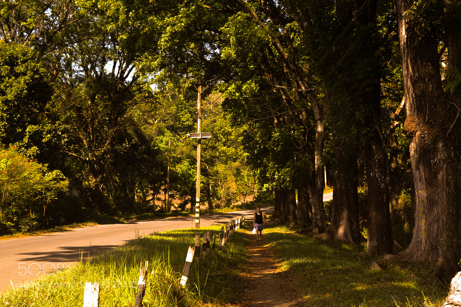 Nikon D3100 sample photo. Camp phillips, bukidnon photography