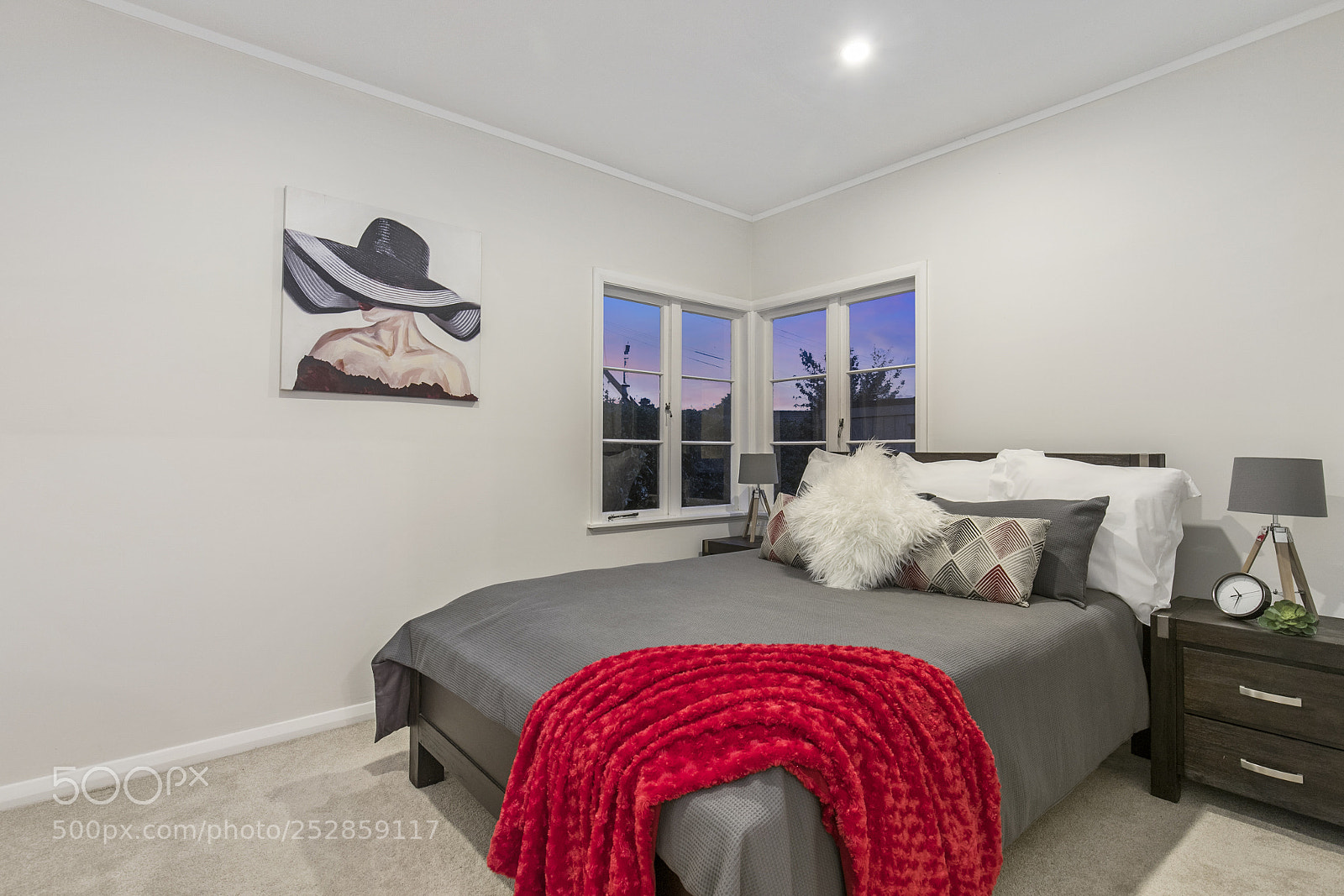 Canon EOS 6D Mark II sample photo. Print img photography