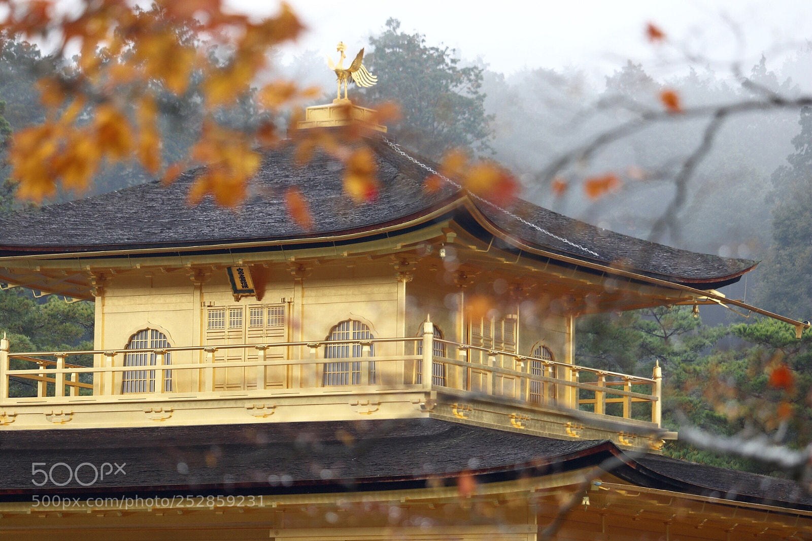 Canon EOS M6 sample photo. Canon eos m6 japan photography