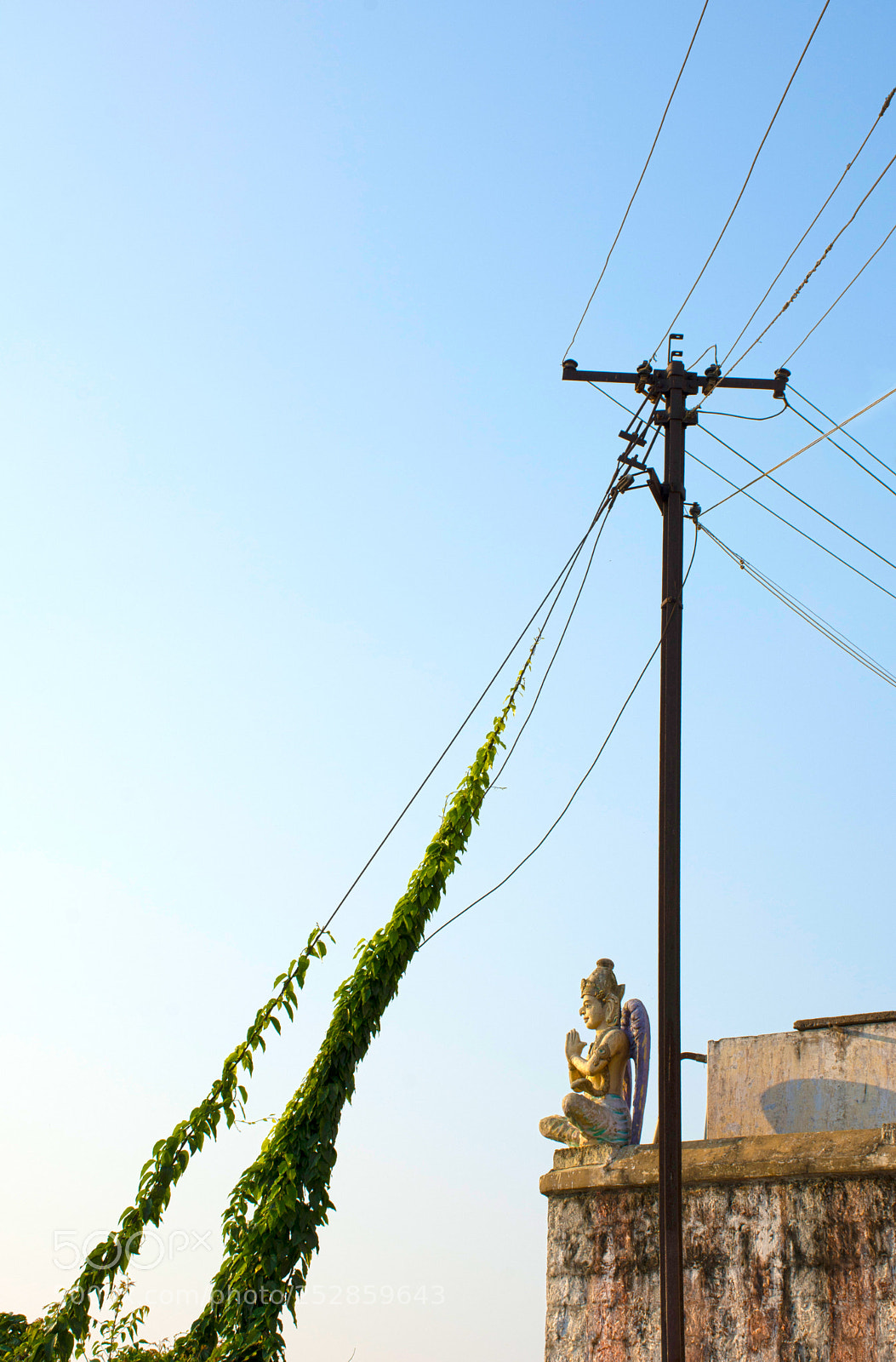 Nikon D7100 sample photo. Nature's beauty photography