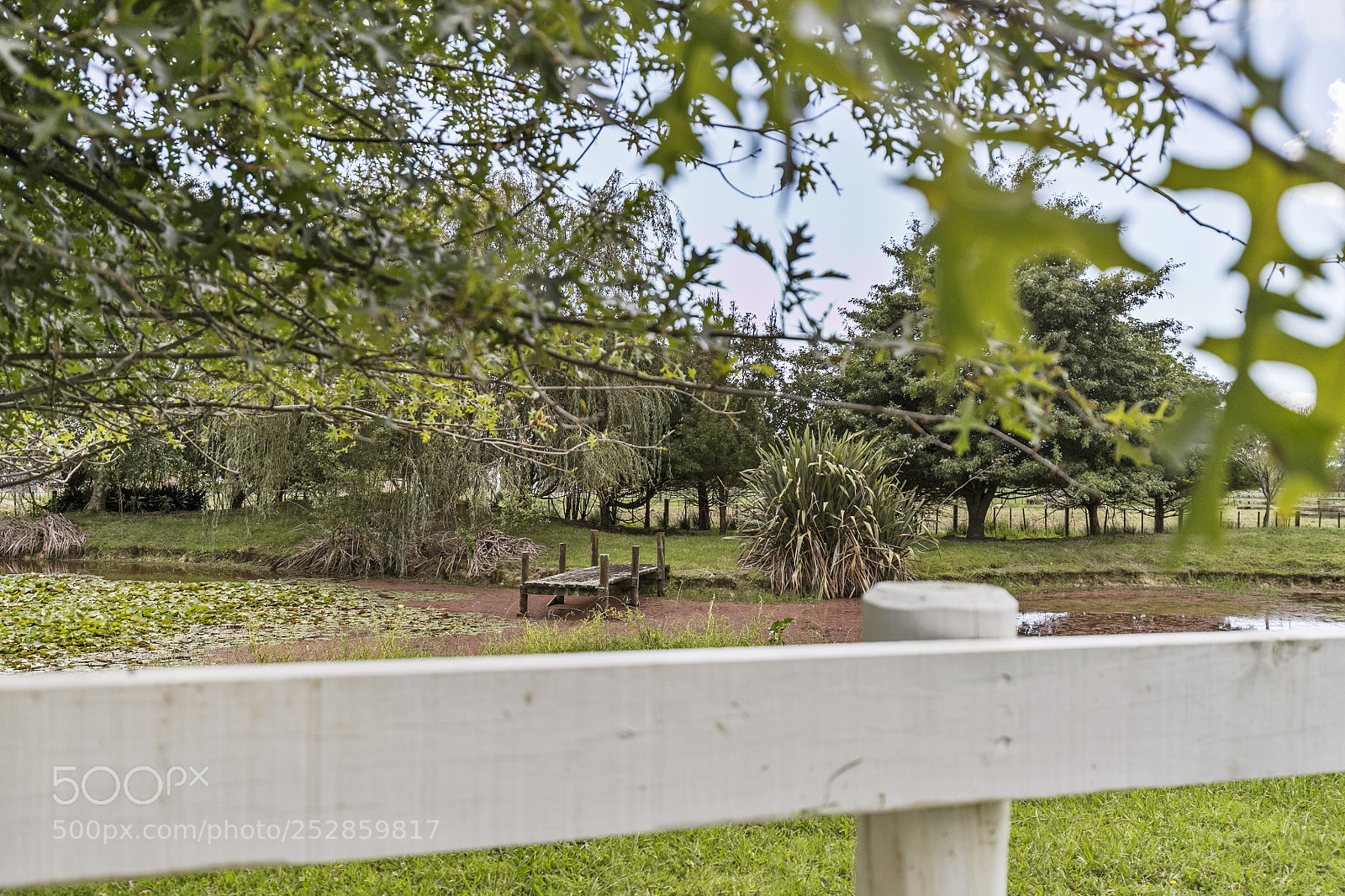 Canon EOS 6D Mark II sample photo. Print img photography