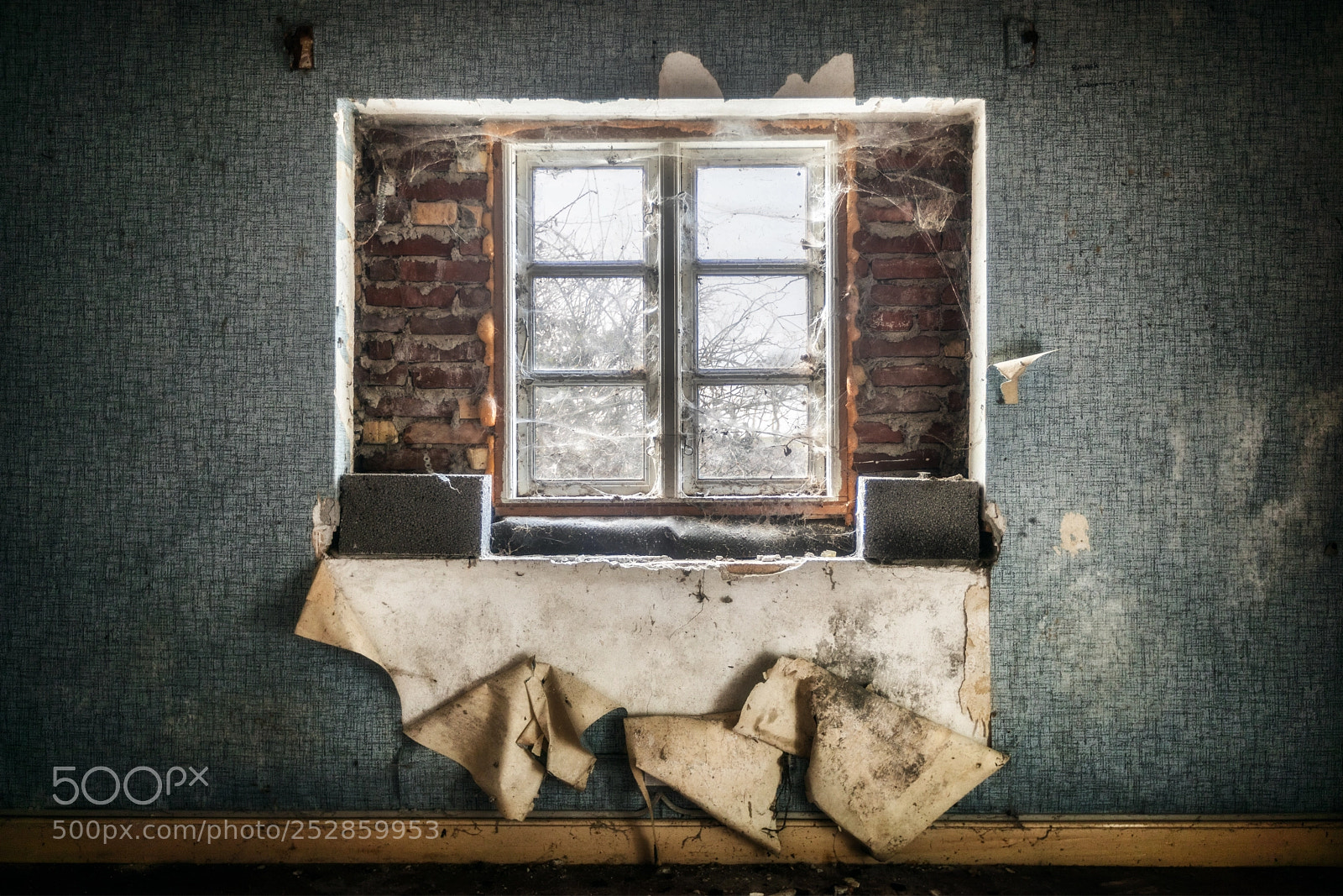 Canon EOS 5D Mark IV sample photo. Window photography