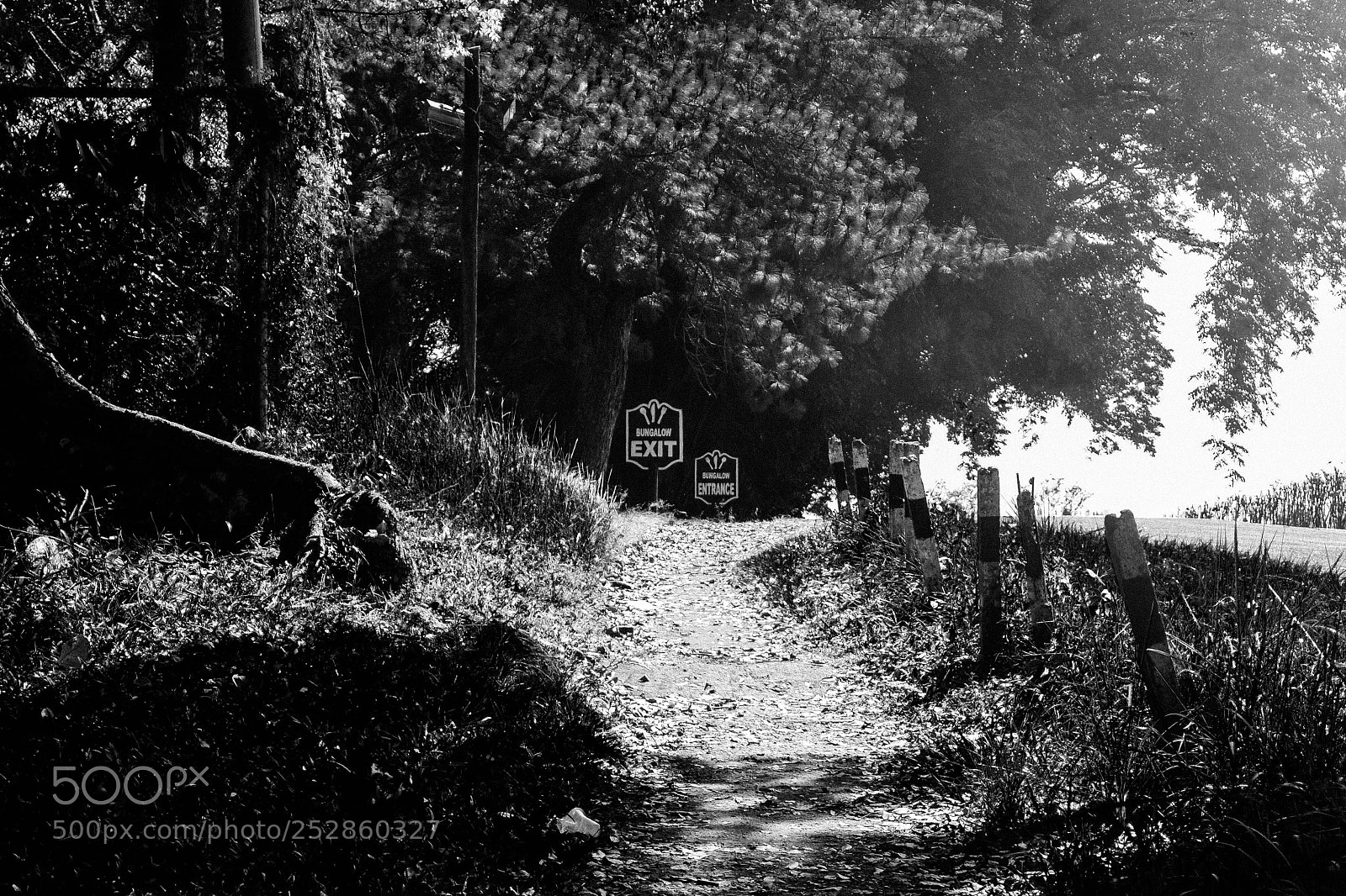 Nikon D3100 sample photo. The bungalow exit photography