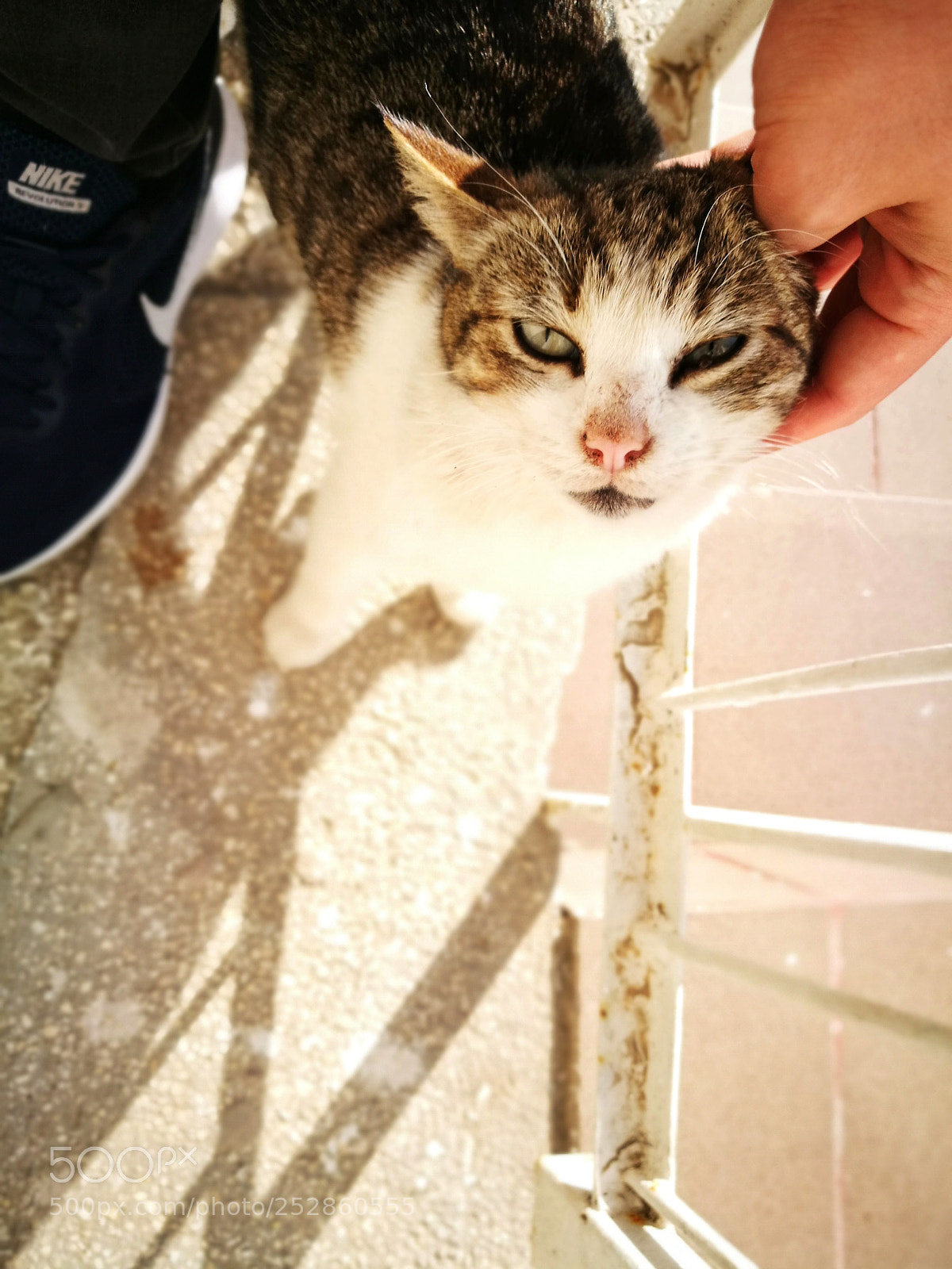 HUAWEI P9 sample photo. ? photography