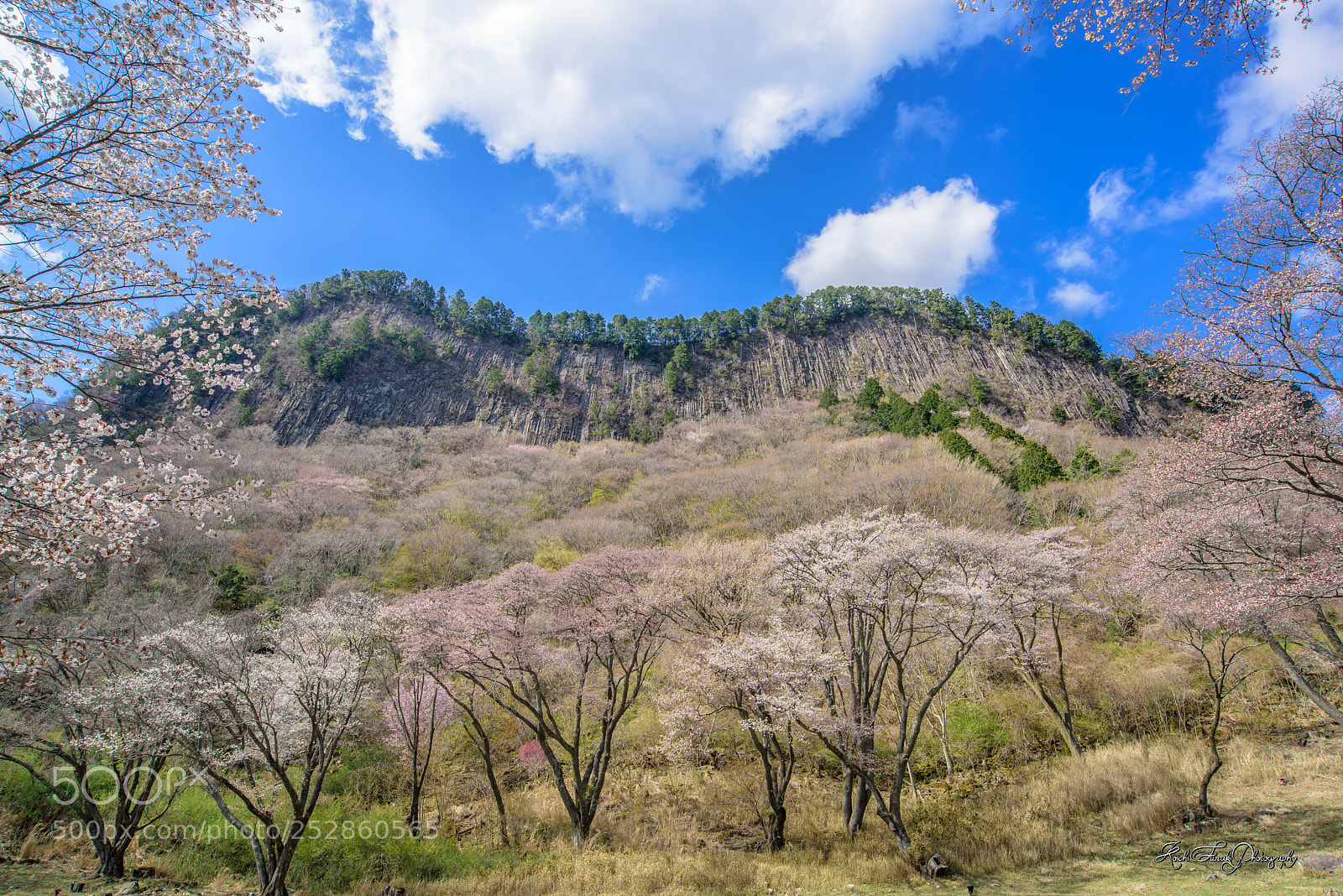 Nikon D810 sample photo. Great view photography
