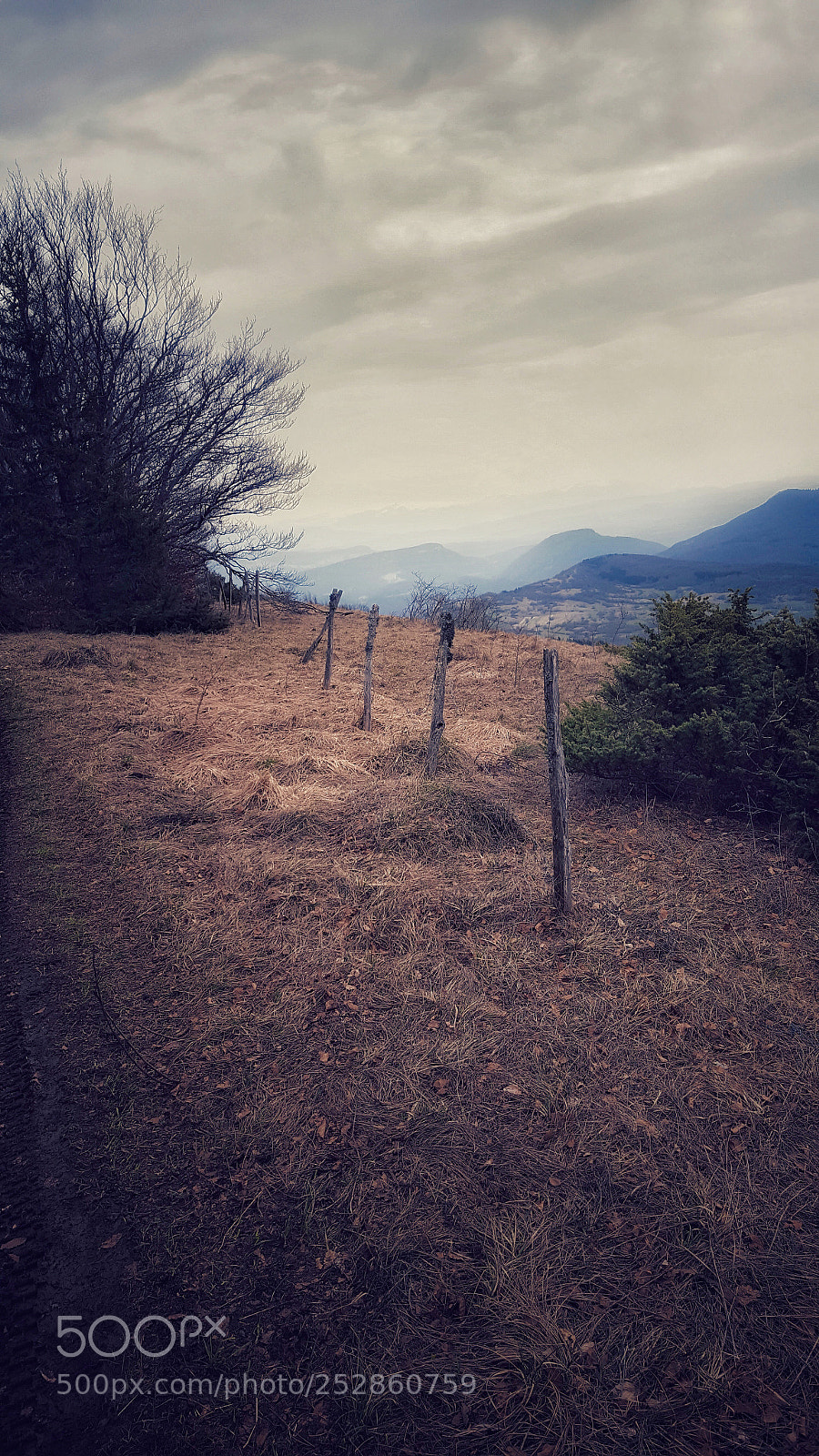 Samsung Galaxy S6 sample photo. Untitled photography