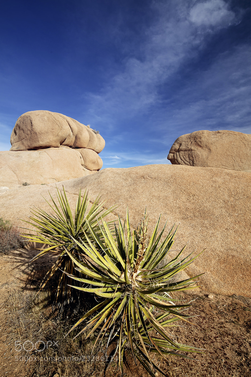 Canon EOS 5DS R sample photo. Arch rock photography