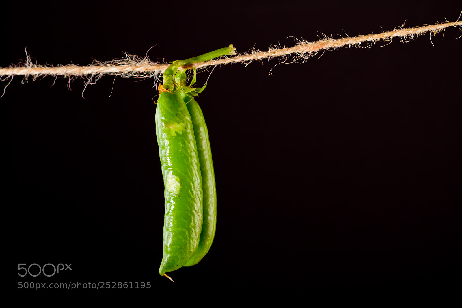 Canon EOS 7D sample photo. Green pea and rope photography