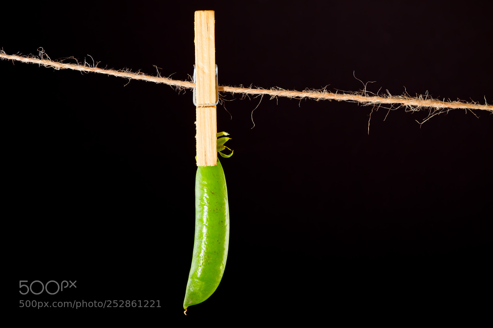 Canon EOS 7D sample photo. Green pea and rope photography