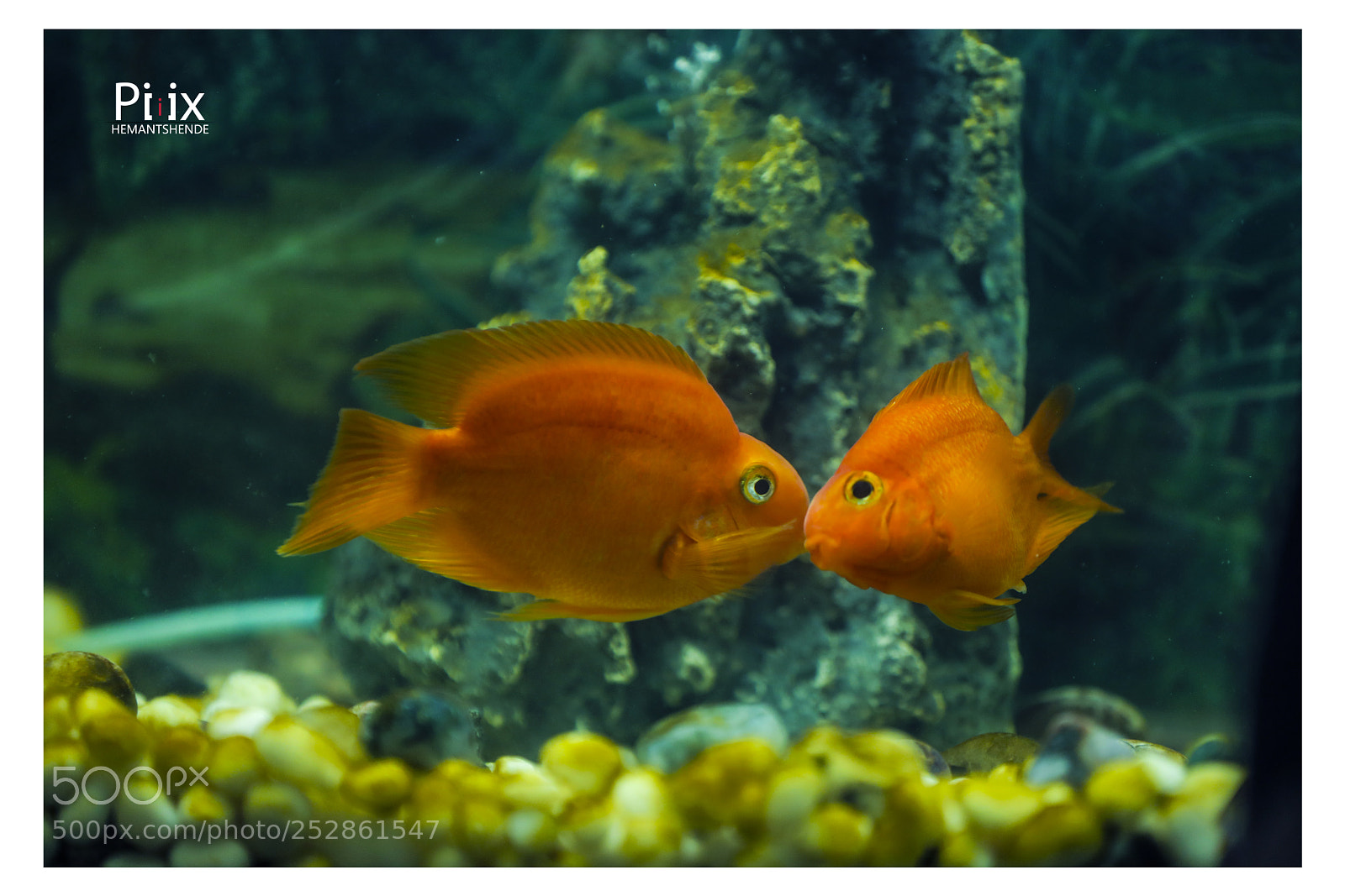 Canon EOS 5D Mark IV sample photo. Untitled photography