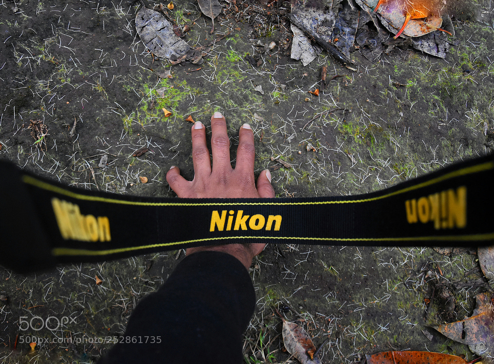 Nikon D7200 sample photo. Feeling the natural vibrations photography